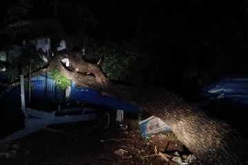 கிளிநொச்சியில் இரவு இடம்பெற்ற பயங்கரம்... கடையின் மீது விழுந்த பாரிய மரம்!