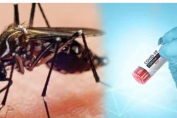 රට තුළ නැවතත් ඇහෙන කොවිඩ් සහ ඩෙංගු ගැන කතාවක්.. ඔබ දැන ගත යුතුම දේ මෙන්න…