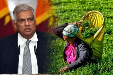 தமிழர் பெருந்தோட்டங்களை நவீன மயப்படுத்தும் வரைபடத்தை வெளியிட்ட ரணில்