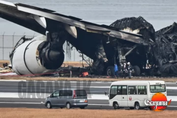 අනේ දෙයියනේ.. ආයෙත් ගුවන් යානයක් කඩන් වැටිලා [VIDEO]