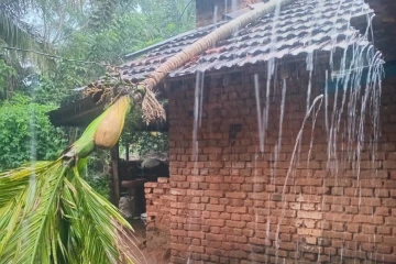 கனமழையால் வீட்டின் மீது முறிந்து விழுந்த மரம்
