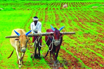 விளை நிலத்தில் கிடைத்த வைரக்கற்கள்; போட்டி போட்டு ஏர் உழும் விவசாயிகள்!