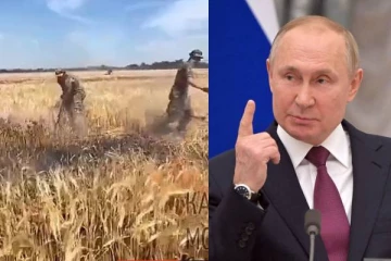 உக்ரைன் கோதுமை வயல்களை தீக்கிரையாக்கும் கொடூரம்: புடின் துருப்புகளின் வஞ்சனை அம்பலம்