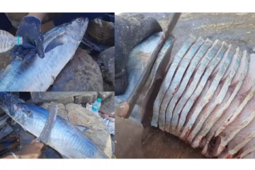 பார்த்ததுமே அசந்துபோக வைக்கும் திறமை - இதற்கு பாராட்டியே ஆக வேண்டும்! வீடியோ வைரல்