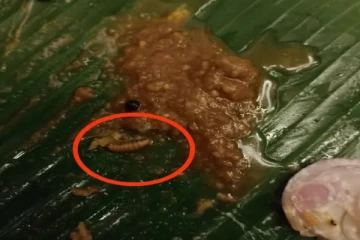 பிரியாணி தால்சாவில் மிதந்து வந்த புழு..தட்டி கேட்ட மாணவர்களை கைது செய்த போலீஸ்..!