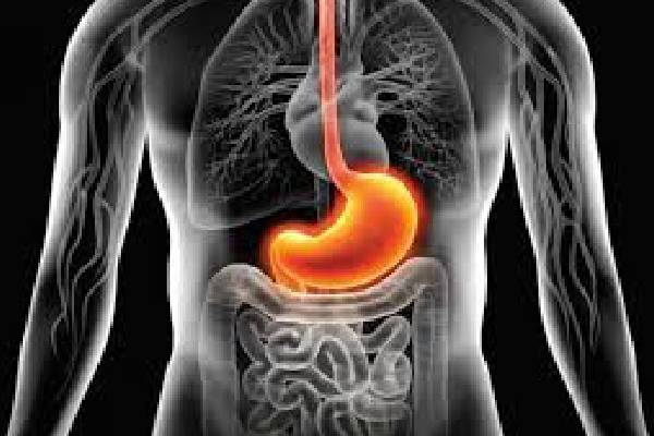 உடலில் ஊட்டச்சத்து அதிகரிக்க தினமும் 5 பேரிச்சம்பழம் | 5 Dates Daily To Increase Nutrition In The Body
