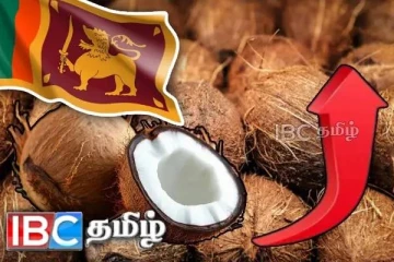 தேங்காய் தட்டுபாட்டிற்கு தீர்வு : வெளியான அதிரடி அறிவிப்பு