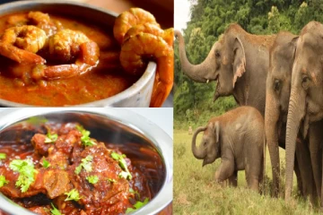 மட்டன்; இறால் வாசனை; திருமணத்திற்குள் புகுந்த யானைகள் - பைக்கிள் எஸ்கேப் ஆன மணமக்கள்!