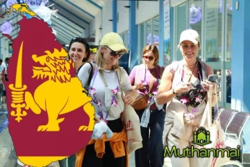 இலங்கைக்கு வருகை தந்துள்ள 8 இலட்சத்திற்கும் மேற்பட்ட சுற்றுலாப்பயணிகள்