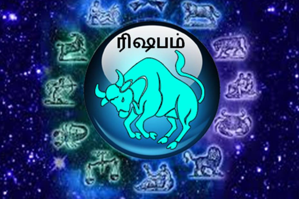 சூரியன் சுக்கிரன் அருளால் கோடீஸ்வர வாழ்க்கை ஆரம்பமாகும் ராசிக்காரர்கள் | Astrology Suriyan Sukkiran Arul Kodiswara Yogam