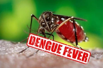 இலங்கையில் 2023 இல் மட்டும் 61,000 டெங்கு வழக்குகள் பதிவு
