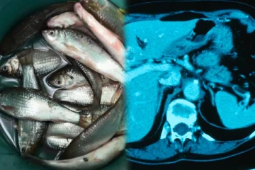 மக்களே உஷார்.. இந்த மீனை மட்டும் இப்படி சாப்பிட்டால் புற்றுநோய் உறுதி - மருத்துவர்கள் தாவல்!