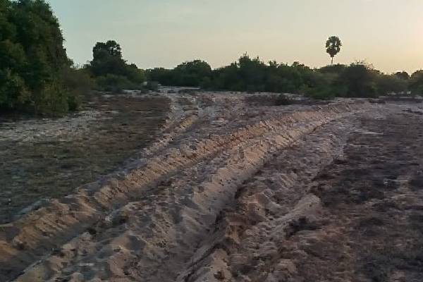 யாழில் பல காலமாக தொடரும் மண் கொள்ளை ; மக்கள் கடும் விசனம் | Land Grabbing Continues In Jaffna People Upset