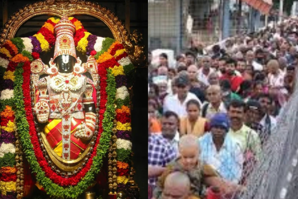 திருப்பதி: இனி 1 மணி நேரத்தில் சுவாமி தரிசனம் செய்ய அறிமுகப்படுத்தப்படும் புதிய வசதிகள் | Ai Introducing In Tirupati For Easy Darshan Tamil