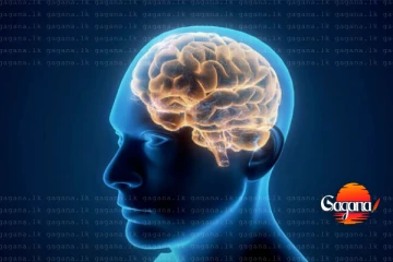 ඔයාටත් මේ ලක්ෂණ තියෙනවද - සෞඛ්‍ය අංශයෙන් බය හිතෙන අනාවරණයක් හේතුව මෙන්න