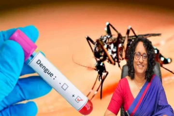 நாட்டில் டெங்கு கட்டுப்பாட்டு நடவடிக்கைகள் தீவிரம் ; பிரதமர் ஹரிணி வெளியிட்ட தகவல்