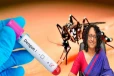 நாட்டில் டெங்கு கட்டுப்பாட்டு நடவடிக்கைகள் தீவிரம் ; பிரதமர் ஹரிணி வெளியிட்ட தகவல்