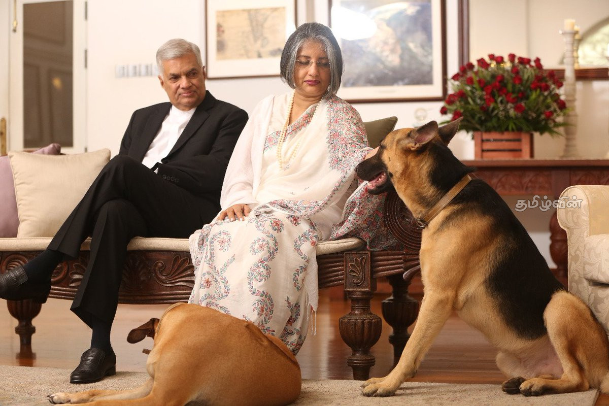 ரணிலுக்கு அழைப்பு விடுத்ததாக வூல்ஹம்ப்டன் அறிவித்துள்ளது: வழக்கில் ஏற்பட்டுள்ள திருப்பம் | Ranil Wickremesinghe Cid Wolverhampton University ரணிலுக்கு அழைப்பு விடுத்ததாக வூல்ஹம்ப்டன் அறிவித்துள்ளது: வழக்கில் ஏற்பட்டுள்ள திருப்பம் | Ranil Wickremesinghe Cid Wolverhampton University