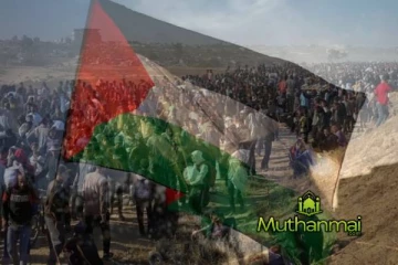 வெடிகுண்டுகளின் சத்தங்கள் இல்லாத காசா : மகிழ்ச்சியை வெளிப்படுத்திய மக்கள்