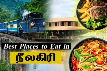 இயற்கை எழில் கொஞ்சும் நீலகிரி - ரசிக்க மட்டுமல்ல ருசிக்கவும் நிறைய இருக்கு!