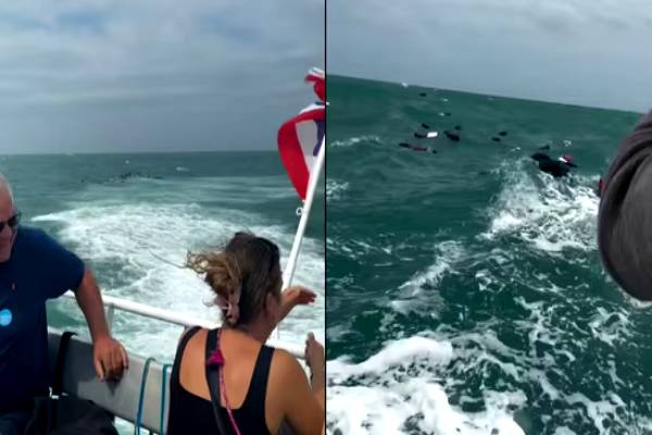 சுற்றுலாப் பயணிகளுக்கு திக் திக் நிமிடங்கள்.. ராட்சத அலையால் கடலில் மிதந்த சூட்கேஸ்கள் | Tourists Watch Luggage Is Swept Into Sea Video