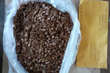 யாழில் போதைப்பொருள் கலந்த பாக்கு விற்றபனை:ஒருவர் கைது(Photo)