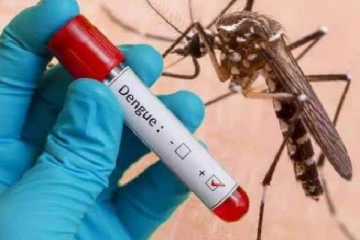 இலங்கையில் ஒரே நாளில் டெங்கு நோயால் இத்தனை பேர் பாதிப்பா: அதிகரிக்கும் அபாயம்!