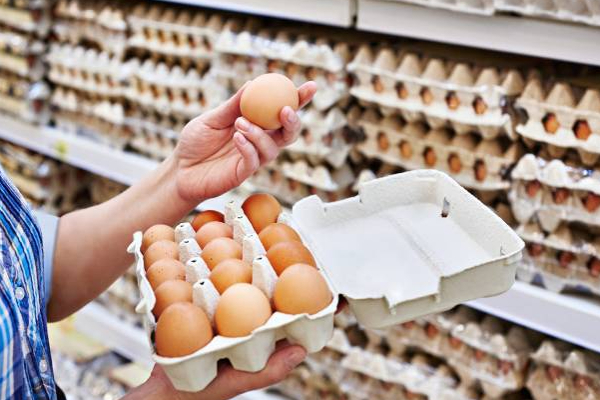 முட்டையை கிலோ கணக்கில் விற்பனை செய்ய நடவடிக்கை! | Measures To Sell Eggs In Kilos Ja Ela Sri Lanka