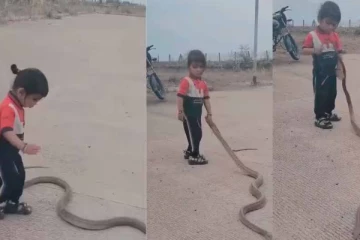 பாம்பிடம் விளையாடும் 4 வயது சிறுவன்! திகிலூட்டும் வீடியோ காட்சிகள்