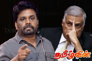 ரணிலின் கைது! ஆபத்தான முன்னுதாரணம் தொடர்பில் ஜனாதிபதி அநுரவிற்கு எச்சரிக்கை