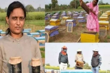 உடலில் தேனீ கொட்டியது! அதனால் கோடிகளில் பணமும் கொட்டுகிறது... ஆச்சரியம் கொடுக்கும் தம்பதி