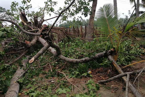 திருகோணமலையை சுழற்றியடித்த மினி சூறாவளி! | The Mini Cyclone That Swept Trincomalee