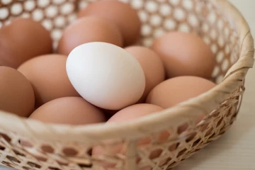 இலங்கையில் முட்டை விலையில் மாற்றம்