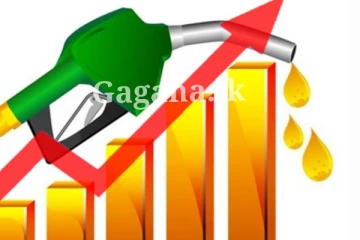 තෙල් මිල තවත් ඉහළට..