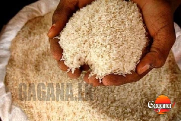 මහා පරිමාණ වී මෝල් හිමියන්ගේ ජාවාරමකින් කීරි සම්බා මිල ඉහළට