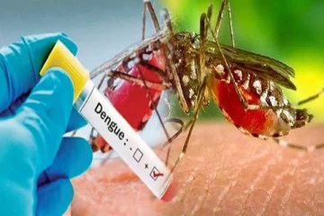 டெங்கு நோயினால் அதிகரிக்கும் உயிரிழப்புக்கள்!