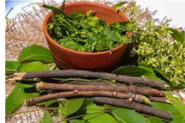 ஒரு வேப்பங்குச்சியின் விலை ரூ.1800: அமெரிக்காவில் களைகட்டும் விற்பனை