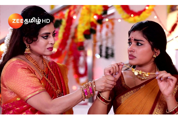 செம்பருத்தி சீரியலில் புதிதாக களமிறங்கிய பிரபல நடிகை.. அட, இவரா | Nisha In Sembaruthi Serial