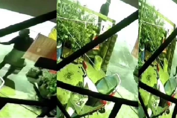 2 வருஷமா மனித மலத்தை குடிநீரில் கலந்து நபர் வெறிச்செயல் - சிசிடிவியால் அதிர்ச்சி!