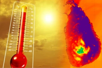 தீவிரமடையும் நிலைமை: உயிரிழப்பை ஏற்படுத்தும் நிலை - நாட்டில் செல்லப்பிராணி வைத்திருப்போருக்கு அவசர எச்சரிக்கை