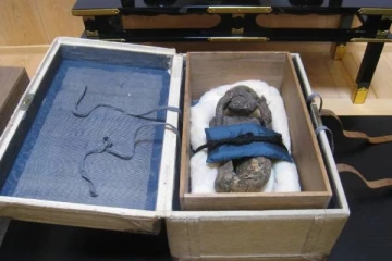 300 ஆண்டு பழமையான மம்மி கண்டுப்பிடிப்பு! கடற்கன்னியின் இறைச்சியை உண்டால் சாகாவரமா?