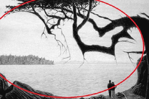 Optical Illusion: இந்த படத்தில் மறைந்துள்ள குழந்தையை கண்டுபிடிக்க முடியுமா? | Optical Illusion Spot Hidden Baby Optical Illusion: இந்த படத்தில் மறைந்துள்ள குழந்தையை கண்டுபிடிக்க முடியுமா? | Optical Illusion Spot Hidden Baby