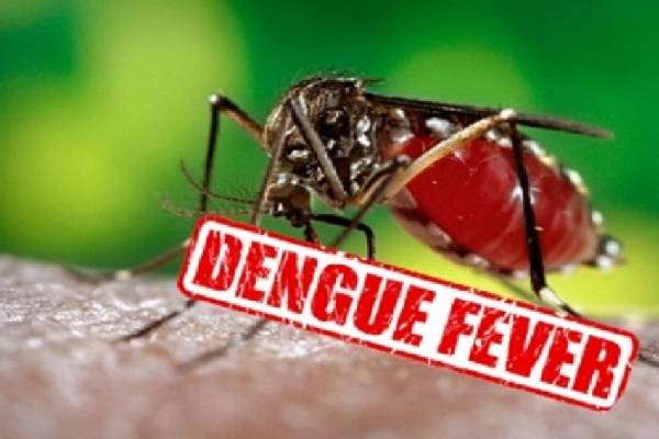 வவுனியாவில் டெங்கு நோயாளர்கள் அடையாளம் | Identification Of Dengue Patients In Vavuniya