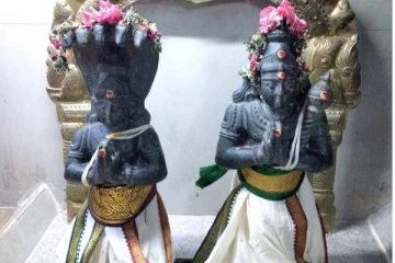 2022 இல் ராகு கேது பெயர்ச்சியால் அதிர்ஷ்ட மழையில் நனையும் 4 ராசிகள்.... திடீரன்று காத்திருக்கும் பேரதிர்ஷ்டம்!