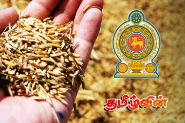 நெல்லுக்கான கொள்வனவு விலைகளை அறிவித்தது அரசாங்கம்!