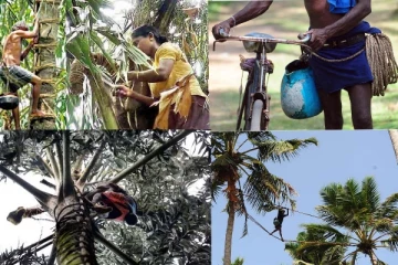 ශ‍්‍රී ලංකාවේ ‘රා’ ලෝකයම හොල්ලයි.. රටටම සුබ ආරංචියක්..