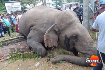 භාතිය නැතිවෙලා සතියක් නෑ, දුම්රියක ගැටී තවත් සද්ධන්තයෙක් ජීවිතක්ෂයට[PHOTOS]