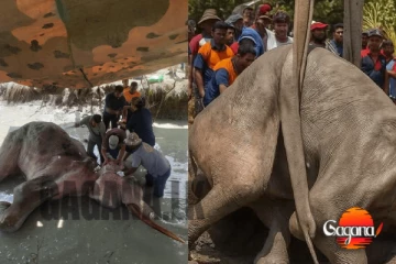 භාතිය ඇතුගේ මුවාවෙන් සිදු කෙරූ වංචාවක් මාට්ටු