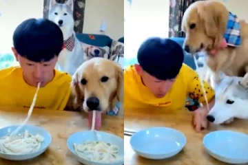 என்ன நடந்தாலும் சாப்பாடு தான் முக்கியம்... பரபரப்பான கிளைமேக்ஸ் என்ன தெரியுமா?