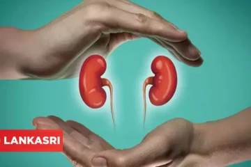 சிறுநீரகங்களின் மூலைமுடுக்குகளில் உள்ள அழுக்கை வெளியேற்றனுமா?